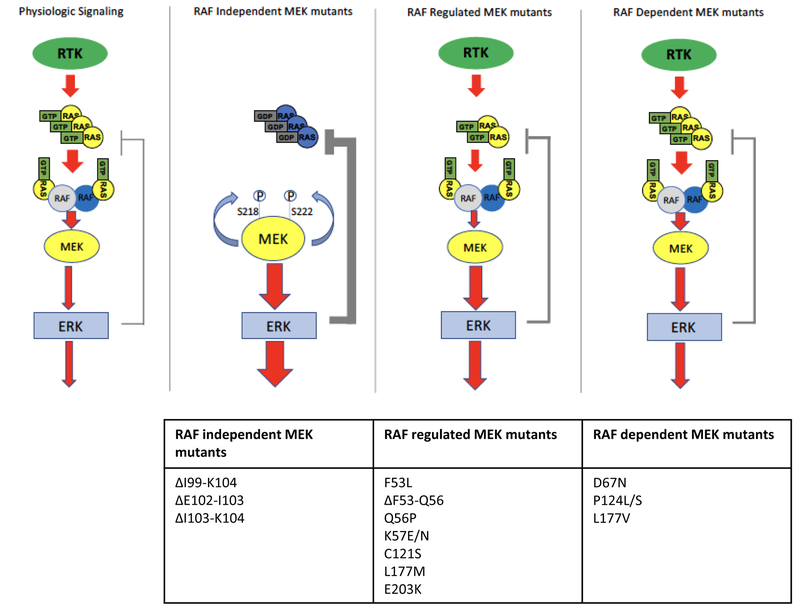 An external file that holds a picture, illustration, etc.
Object name is nihms-1519373-f0003.jpg