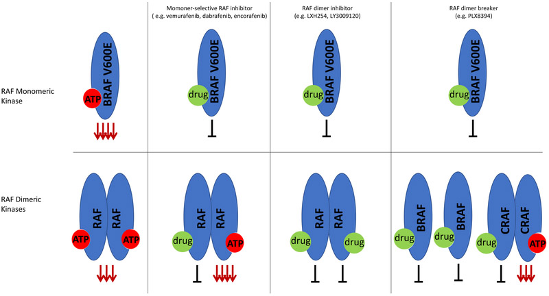 An external file that holds a picture, illustration, etc.
Object name is nihms-1519373-f0004.jpg