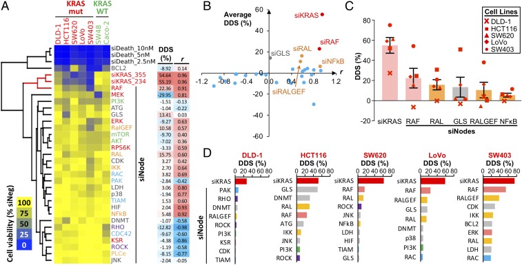 An external file that holds a picture, illustration, etc.
Object name is pnas.1817494116fig01.jpg