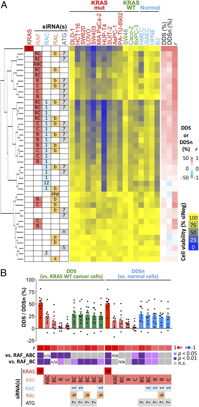 An external file that holds a picture, illustration, etc.
Object name is pnas.1817494116fig04.jpg