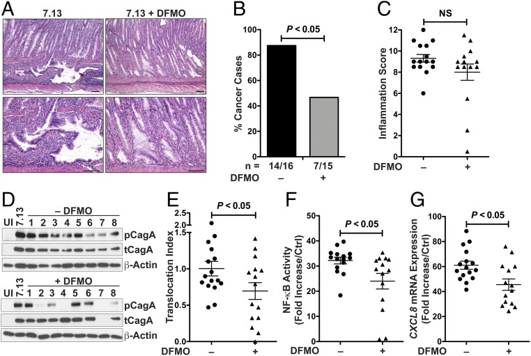 An external file that holds a picture, illustration, etc.
Object name is pnas.1814497116fig01.jpg