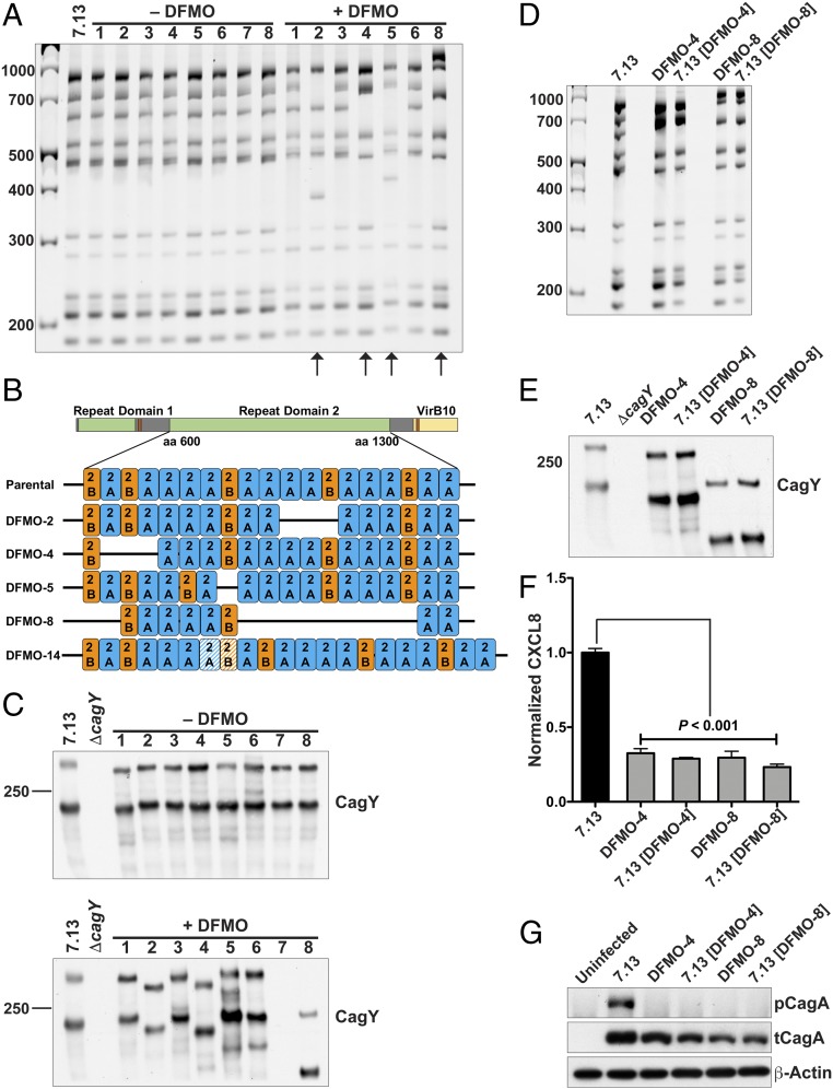 An external file that holds a picture, illustration, etc.
Object name is pnas.1814497116fig02.jpg