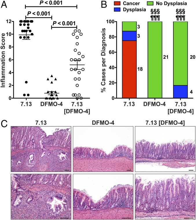 An external file that holds a picture, illustration, etc.
Object name is pnas.1814497116fig03.jpg