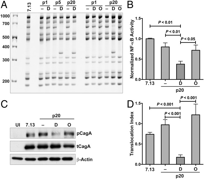 An external file that holds a picture, illustration, etc.
Object name is pnas.1814497116fig04.jpg