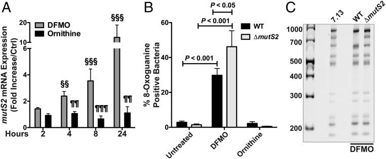 An external file that holds a picture, illustration, etc.
Object name is pnas.1814497116fig07.jpg