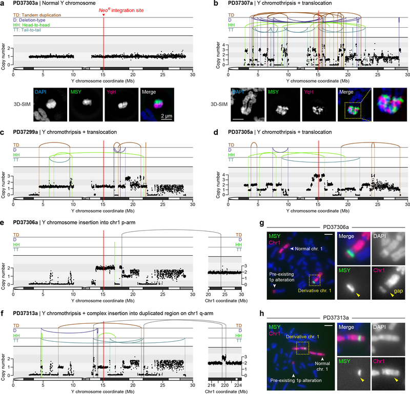 An external file that holds a picture, illustration, etc.
Object name is nihms-1519498-f0006.jpg