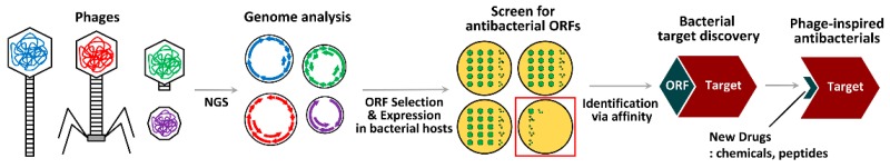 An external file that holds a picture, illustration, etc.
Object name is viruses-11-00268-g004.jpg