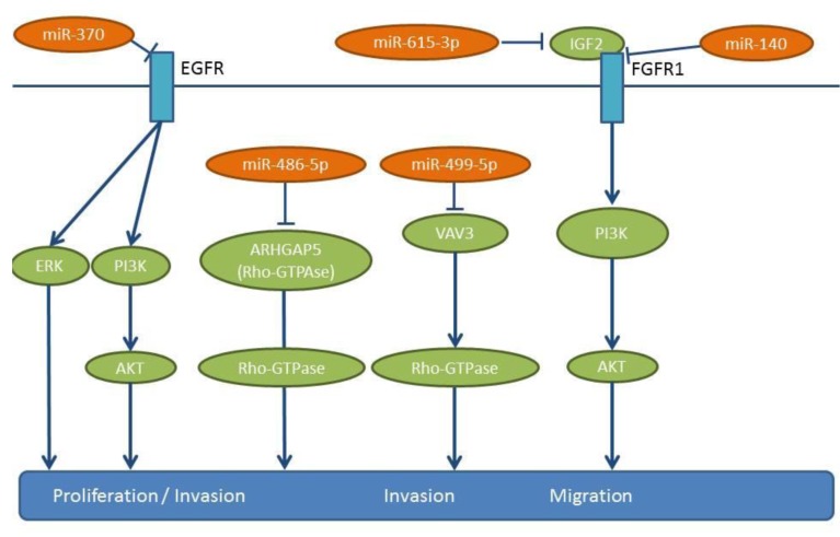 An external file that holds a picture, illustration, etc.
Object name is cgp-16-106-g0001.jpg