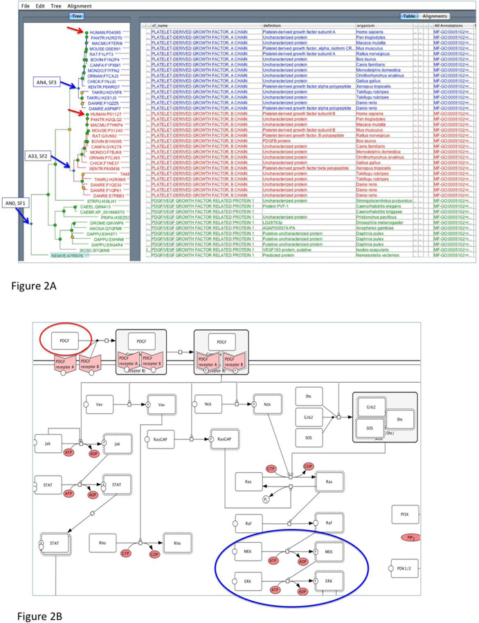 An external file that holds a picture, illustration, etc.
Object name is nihms-1011853-f0002.jpg