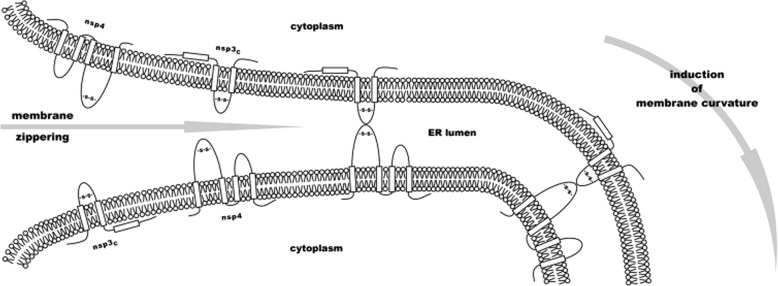 An external file that holds a picture, illustration, etc.
Object name is 12985_2019_1182_Fig4_HTML.jpg