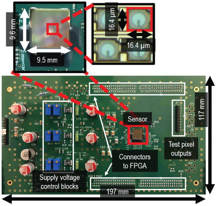 An external file that holds a picture, illustration, etc.
Object name is nihms-1517667-f0012.jpg