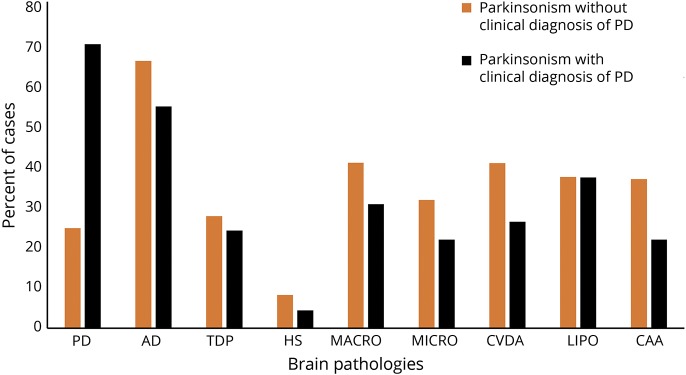 An external file that holds a picture, illustration, etc.
Object name is NEUROLOGY2018925438FF2.jpg