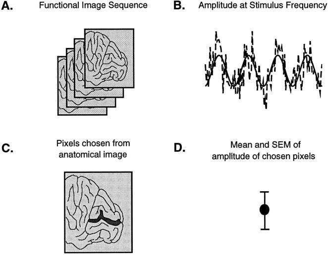 An external file that holds a picture, illustration, etc.
Object name is ns1260372003.jpg