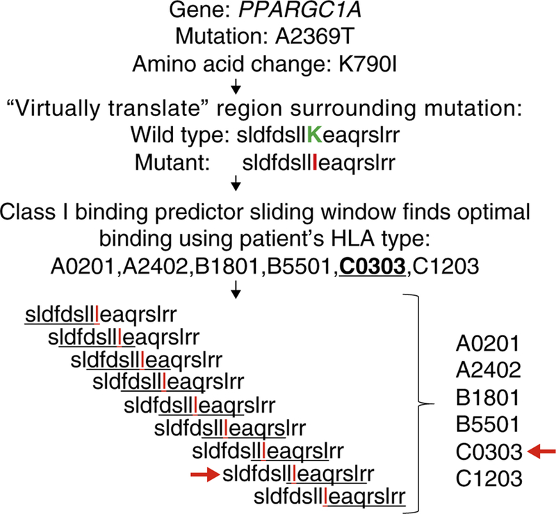 An external file that holds a picture, illustration, etc.
Object name is nihms-1039657-f0002.jpg