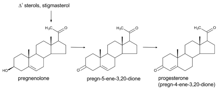 An external file that holds a picture, illustration, etc.
Object name is molecules-24-02585-g002.jpg