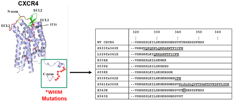 An external file that holds a picture, illustration, etc.
Object name is nihms-1534874-f0003.jpg