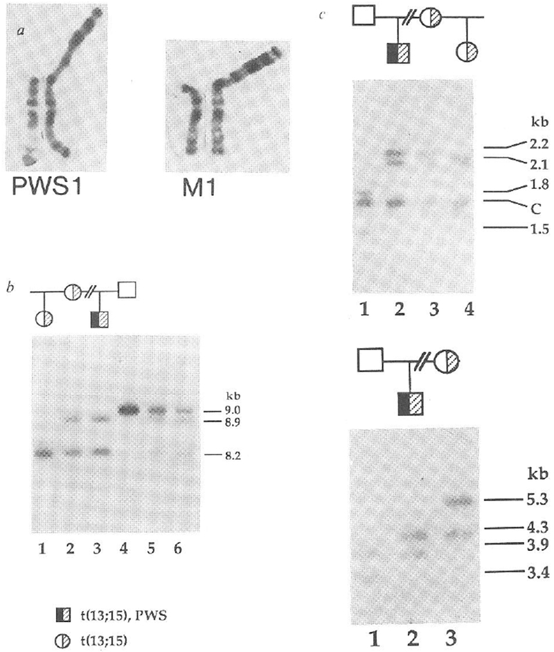 An external file that holds a picture, illustration, etc.
Object name is nihms-1046730-f0001.jpg