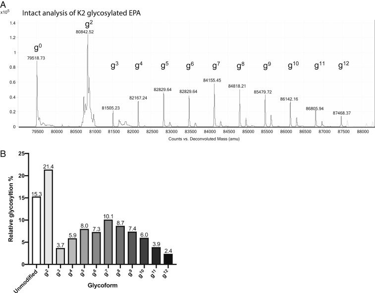 An external file that holds a picture, illustration, etc.
Object name is pnas.1907833116fig04.jpg