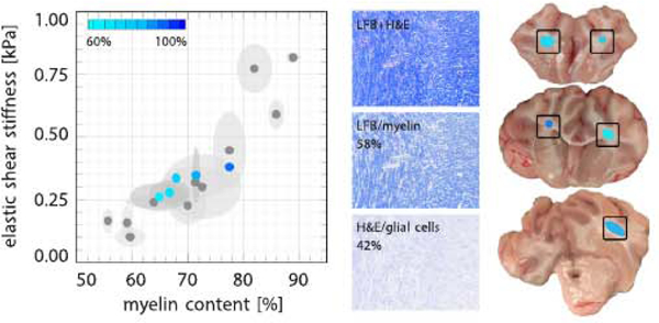 An external file that holds a picture, illustration, etc.
Object name is nihms-1048233-f0006.jpg