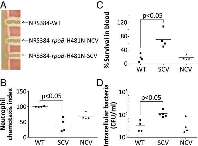 An external file that holds a picture, illustration, etc.
Object name is pnas.1904861116fig02.jpg