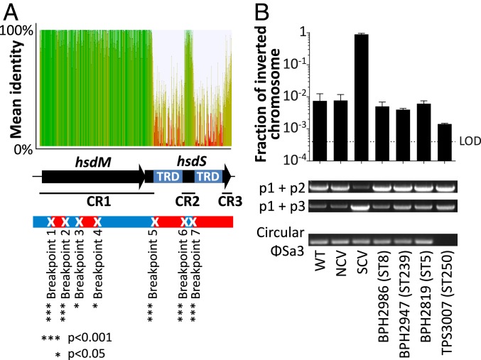 An external file that holds a picture, illustration, etc.
Object name is pnas.1904861116fig04.jpg