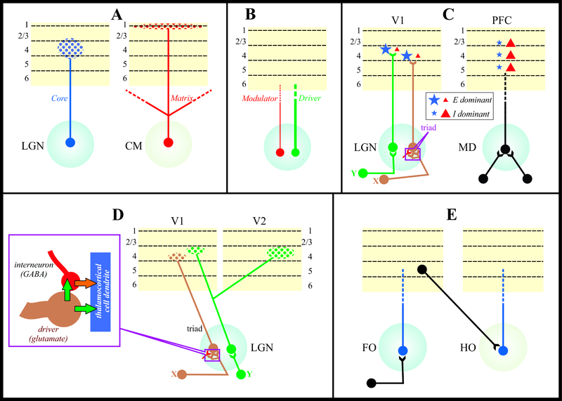 An external file that holds a picture, illustration, etc.
Object name is nihms-1531956-f0001.jpg