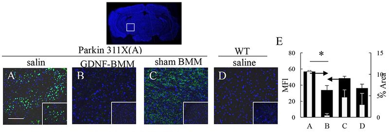 An external file that holds a picture, illustration, etc.
Object name is nihms-1544554-f0007.jpg