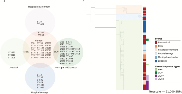 An external file that holds a picture, illustration, etc.
Object name is ciz174f0002.jpg