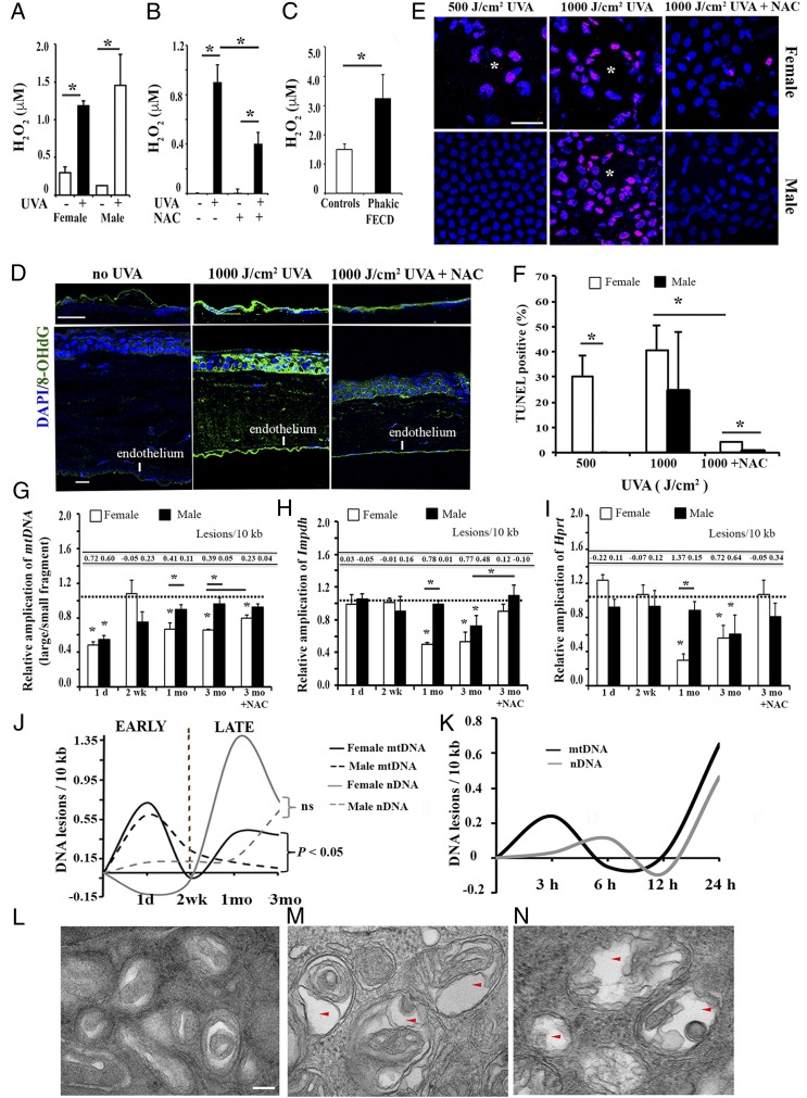 An external file that holds a picture, illustration, etc.
Object name is pnas.1912546116fig03.jpg