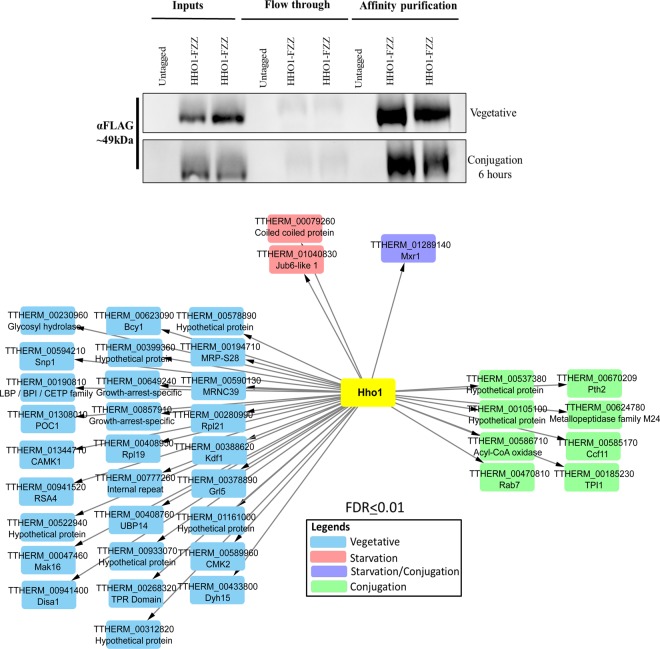 An external file that holds a picture, illustration, etc.
Object name is 41598_2019_56867_Fig2_HTML.jpg