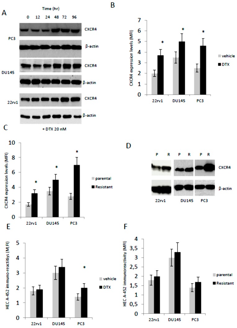 An external file that holds a picture, illustration, etc.
Object name is cells-09-00032-g002.jpg