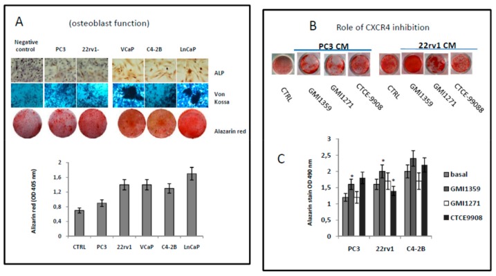 An external file that holds a picture, illustration, etc.
Object name is cells-09-00032-g008.jpg