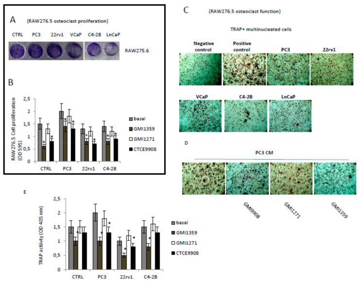 An external file that holds a picture, illustration, etc.
Object name is cells-09-00032-g009.jpg