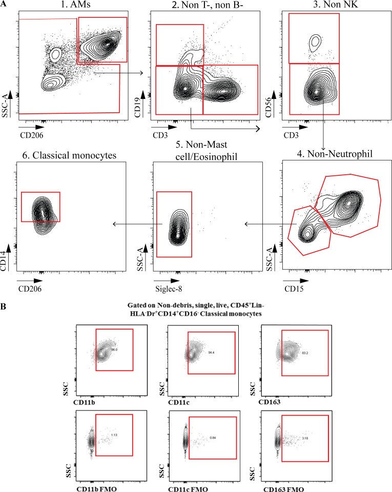 An external file that holds a picture, illustration, etc.
Object name is JEM_20191236_FigS2.jpg