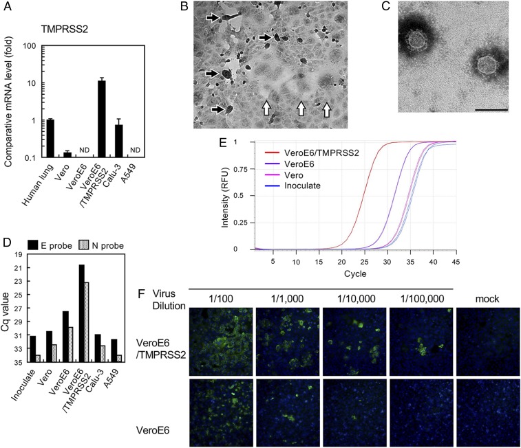 An external file that holds a picture, illustration, etc.
Object name is pnas.2002589117fig01.jpg