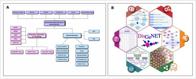 An external file that holds a picture, illustration, etc.
Object name is gkz1021fig1.jpg