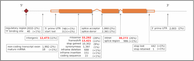 An external file that holds a picture, illustration, etc.
Object name is gkz1021fig4.jpg