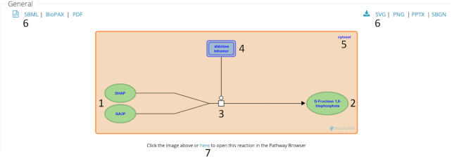 An external file that holds a picture, illustration, etc.
Object name is gkz1031fig4.jpg