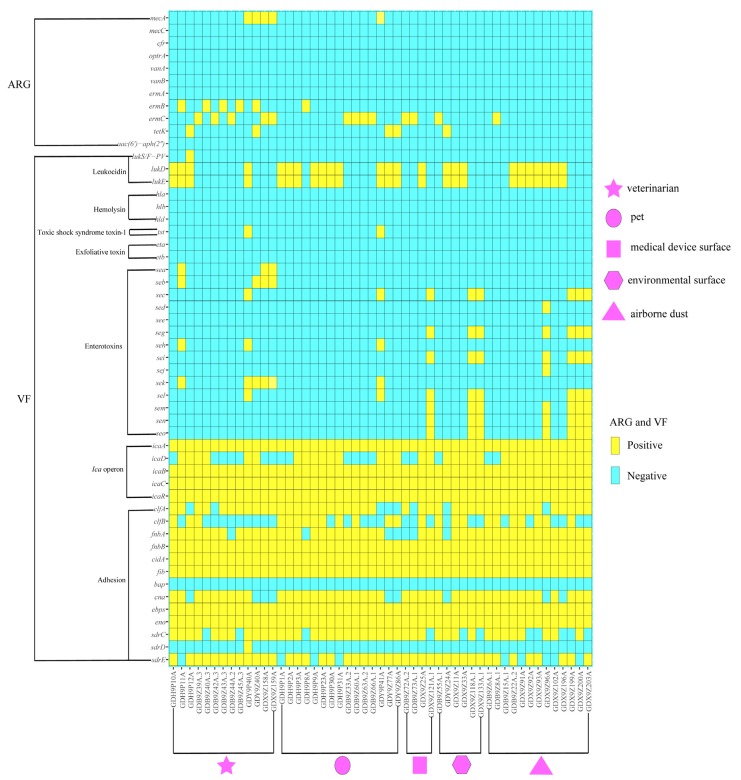 An external file that holds a picture, illustration, etc.
Object name is pathogens-09-00264-g001.jpg