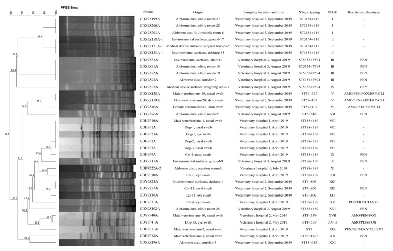 An external file that holds a picture, illustration, etc.
Object name is pathogens-09-00264-g002.jpg