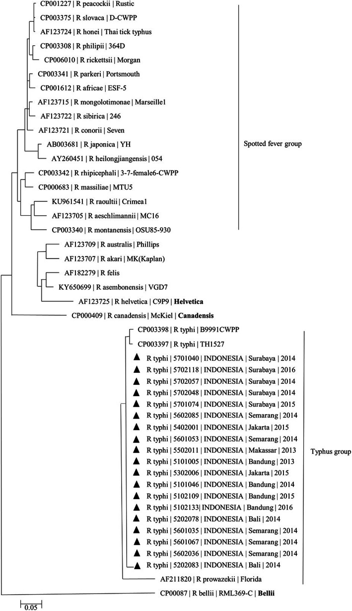 An external file that holds a picture, illustration, etc.
Object name is 12879_2020_5057_Fig3_HTML.jpg