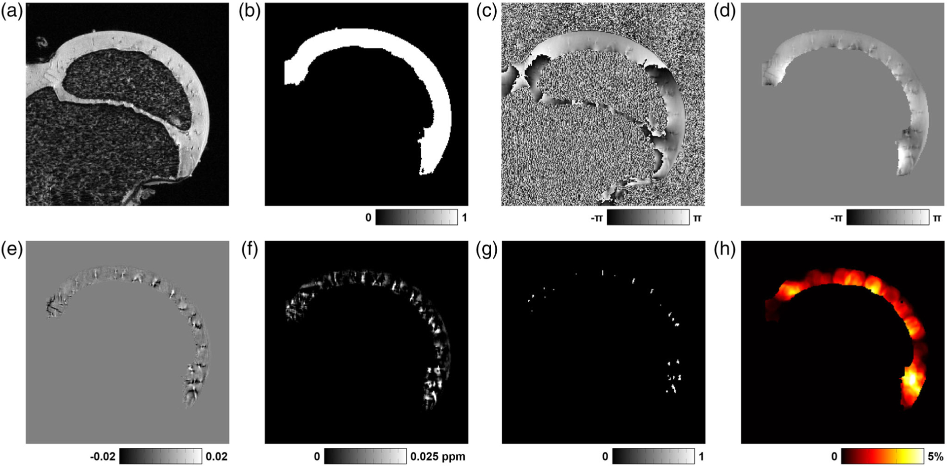 An external file that holds a picture, illustration, etc.
Object name is nihms-1580176-f0001.jpg