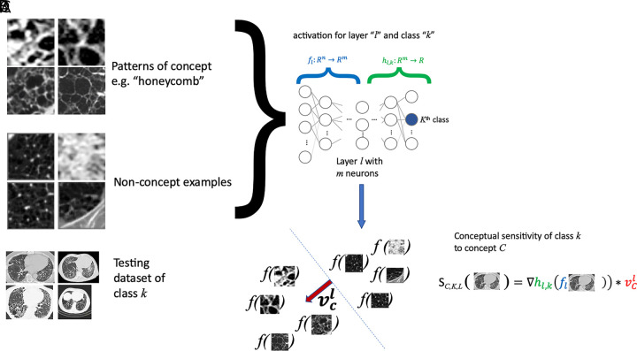 A, Testing with concept activation vectors (TCAVs) requires a set of samples characterizing the concept (eg,  honeycomb pattern,  a set of  nonconcept  examples, which are not related to the concept being studied), B, a testing dataset of the class k of interest (eg, idiopathic pulmonary fibrosis), and, C, a complex model f (eg, neural network) that one desires to interpret, and which has been trained to perform classification of these classes. D, A linear model is built from the concept and nonconcept samples using model f, by employing model f to generate classification labels for the concept and nonconcept samples. E, From the resulting linear model, separating concept from nonconcept examples (dotted line in D), its main perpendicular direction vcl (red arrow in D) can be obtained to assess the sensitivity of model f to concept C at layer l by quantifying changes to the activations of model f in the vcl direction.