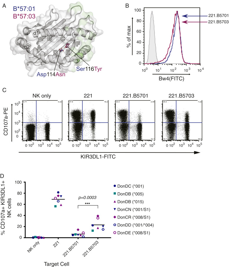 An external file that holds a picture, illustration, etc.
Object name is pnas.1920570117fig01.jpg