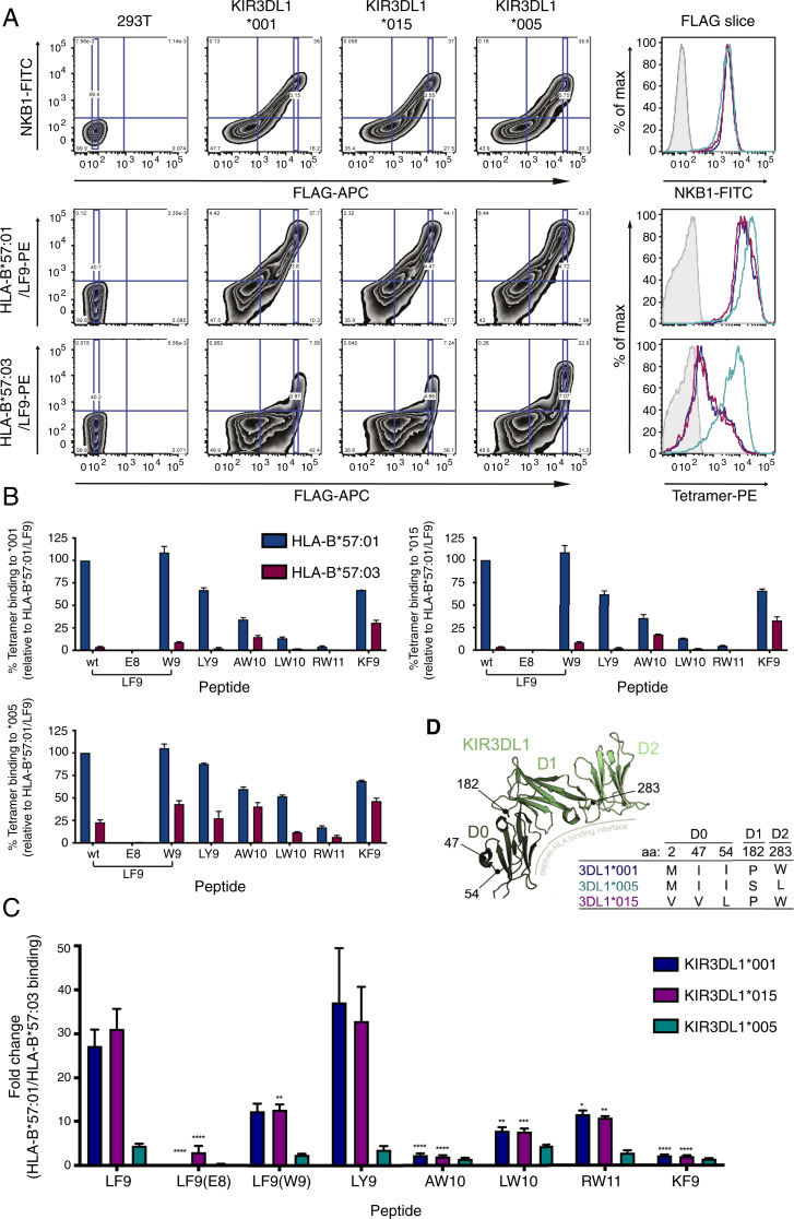 An external file that holds a picture, illustration, etc.
Object name is pnas.1920570117fig02.jpg