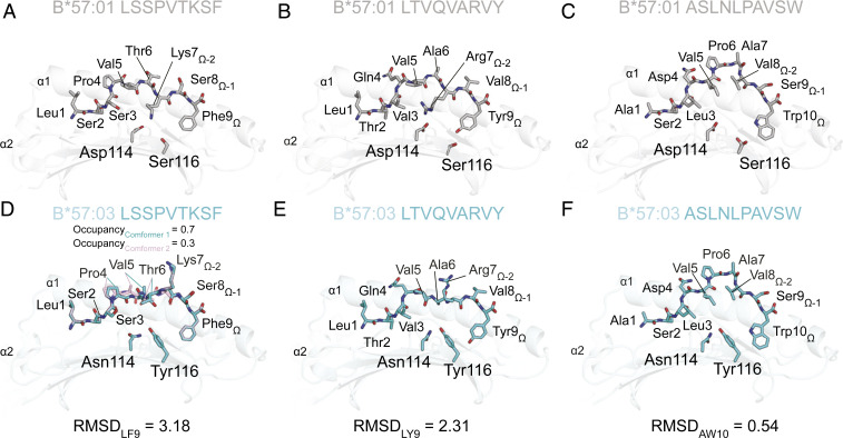 An external file that holds a picture, illustration, etc.
Object name is pnas.1920570117fig05.jpg