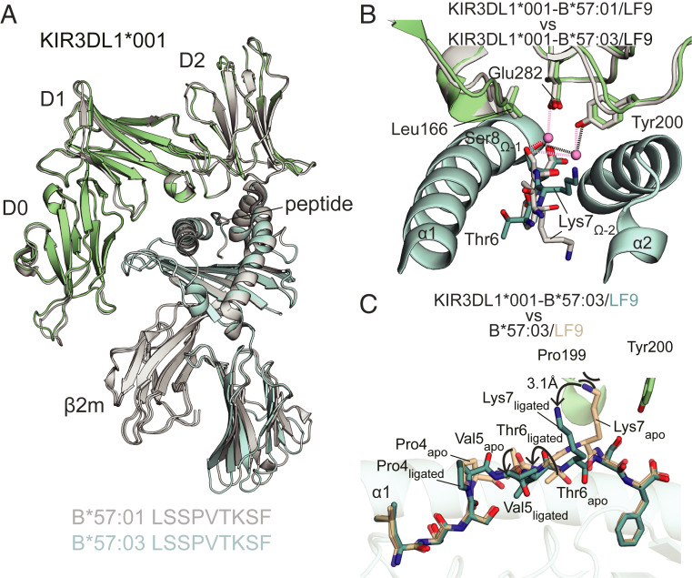 An external file that holds a picture, illustration, etc.
Object name is pnas.1920570117fig06.jpg