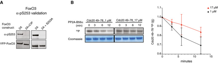 An external file that holds a picture, illustration, etc.
Object name is EMBJ-39-e103695-g007.jpg