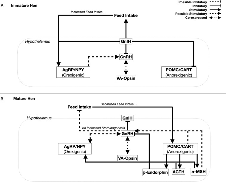 An external file that holds a picture, illustration, etc.
Object name is fphys-11-00707-g001.jpg