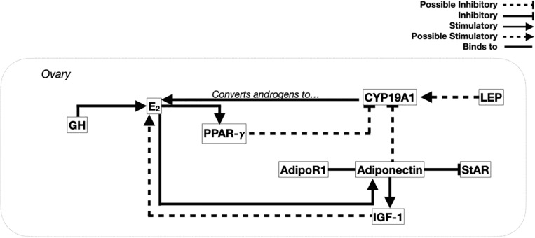 An external file that holds a picture, illustration, etc.
Object name is fphys-11-00707-g002.jpg